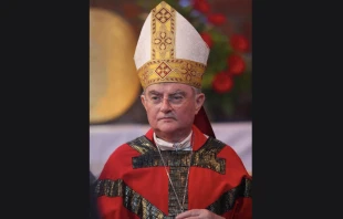 The late Archbishop Henryk Hoser. Wikimedia Commons/CNA.